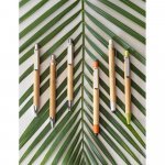 GREENY. Conjunto de esferogr&aacute;fica e lapiseira em bambu