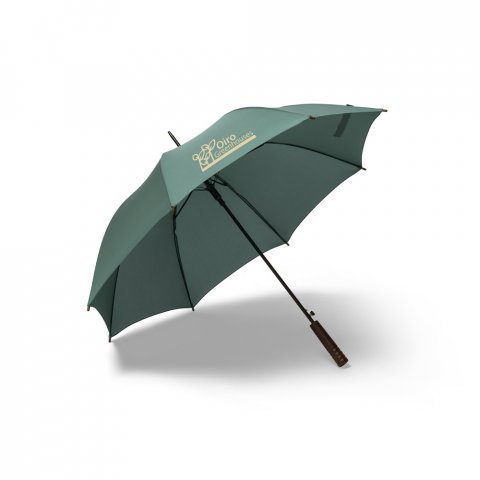 APOLO. Guarda-chuva em 100% poli&eacute;ster reciclado pongee 190T com abertura autom&aacute;tica - Verde escuro